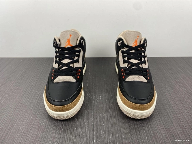 Reps TB Elephant CT8532-008 Jordan Air Desert 3 0823